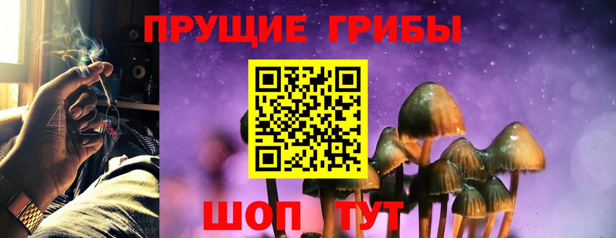 Псилоцибиновые грибы Cubensis Владимир